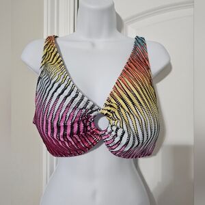 Multicolor Striped Bikini Size 2XL
